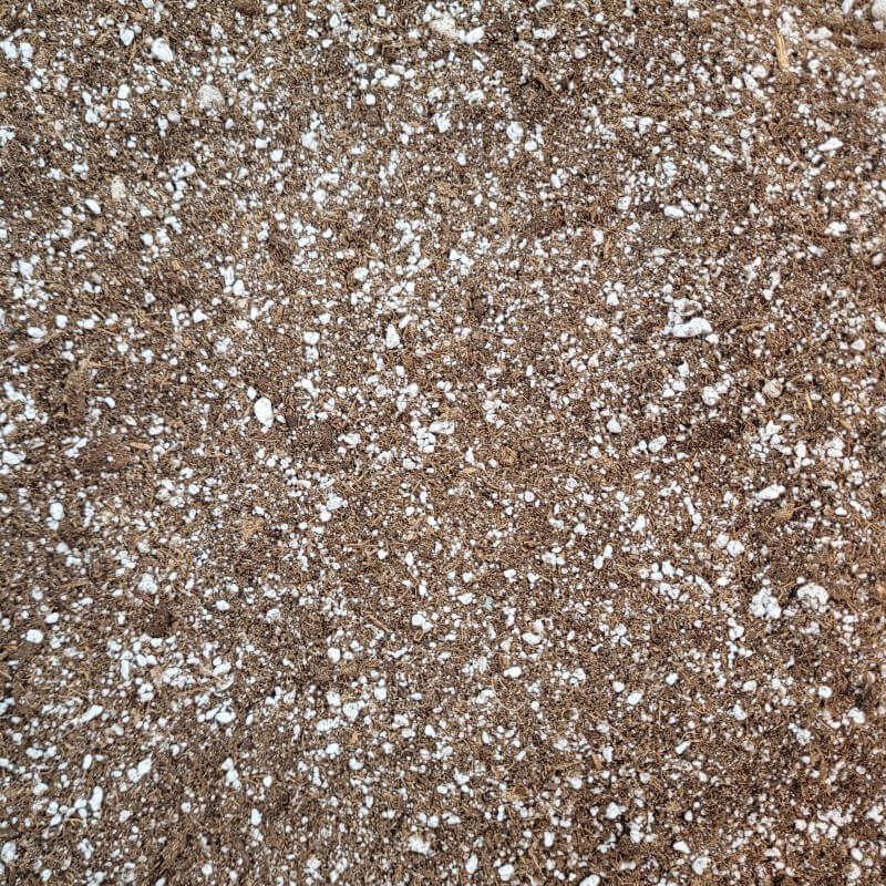 Professional Grade Peat and Perlite Mix