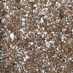 Professional Grade Peat and Perlite Mix
