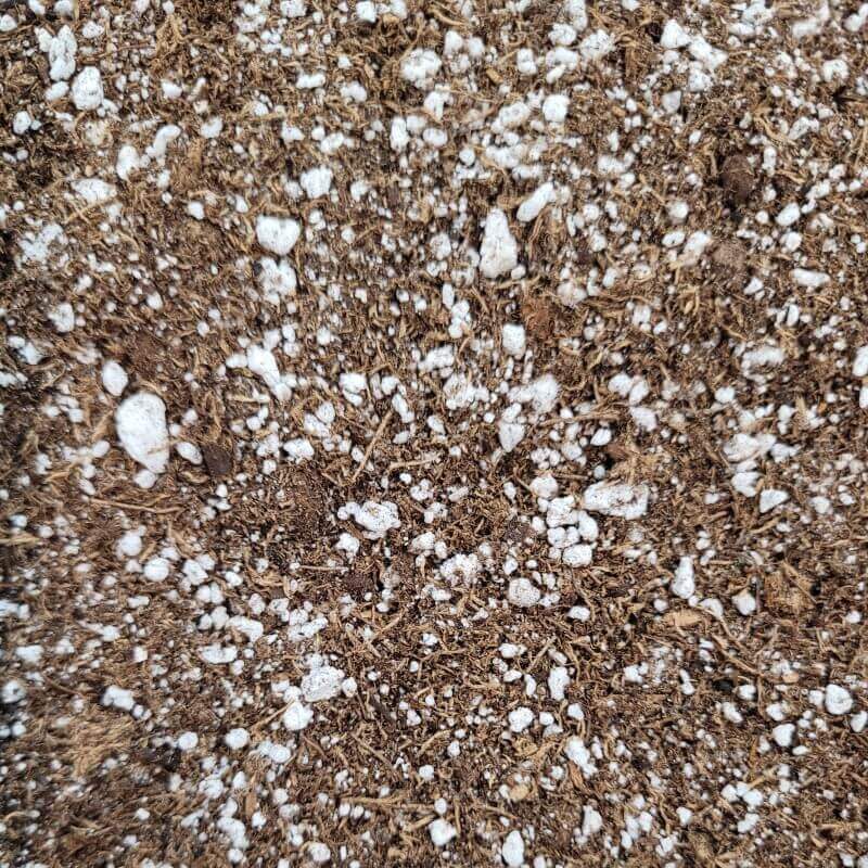 Professional Grade Peat and Perlite Mix