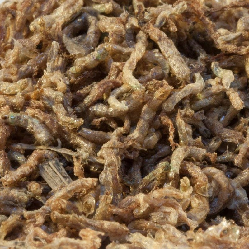 Freeze Dried Bloodworms Food for Carnivorous Plants