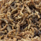 Freeze Dried Bloodworms Food for Carnivorous Plants