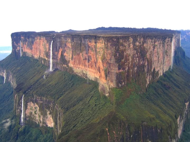 Island in the sky: Mount Roraima, one of the tabletop mountains Heliamphora call home.