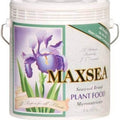 Max Sea Seaweed Fertilizer concentrate for carnivorous plants – high-quality liquid seaweed plant food for thriving Venus flytraps, sundews, and pitcher plants