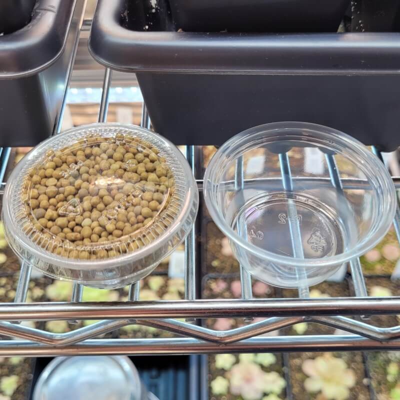 Osmocote Plus fertilizer pellets in a clear cup, seen from above