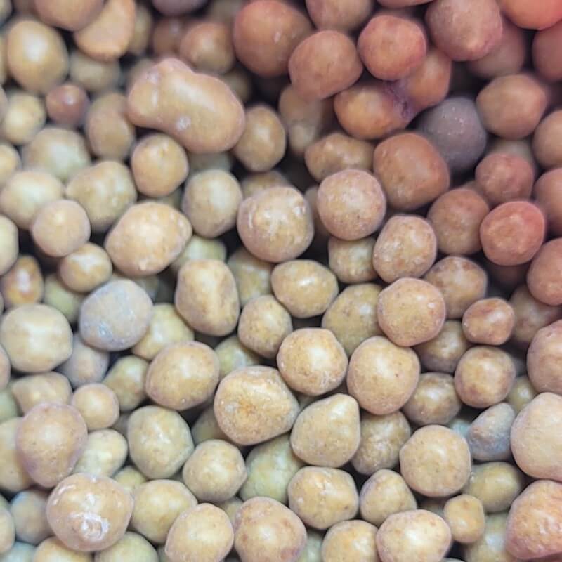 Macro view of round, tan Osmocote Plus fertilizer pellets