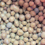 Macro view of round, tan Osmocote Plus fertilizer pellets