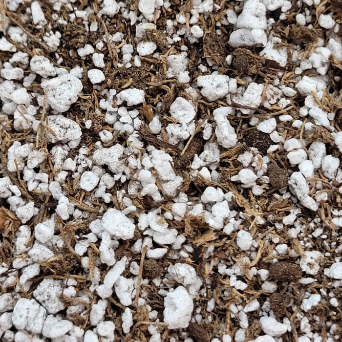 Pinguicula Soil Mix