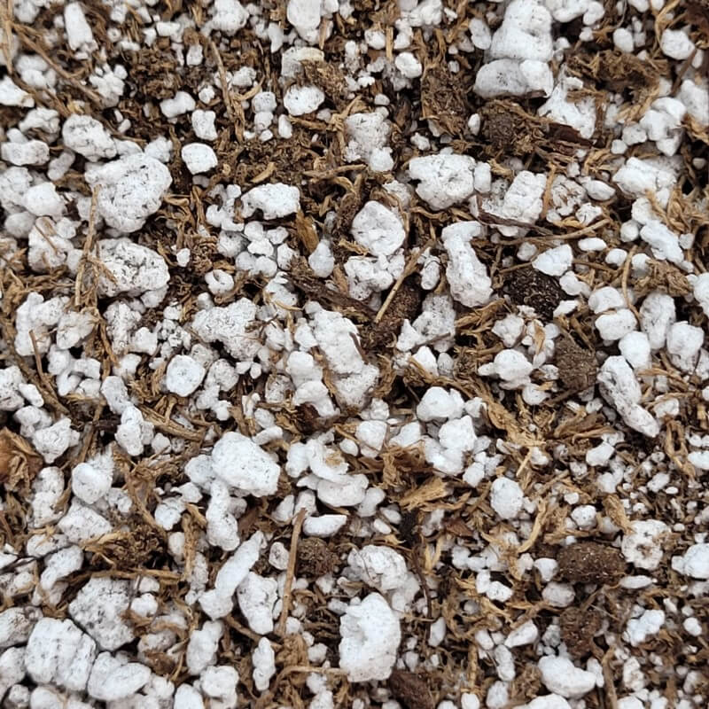 Pinguicula Soil Mix