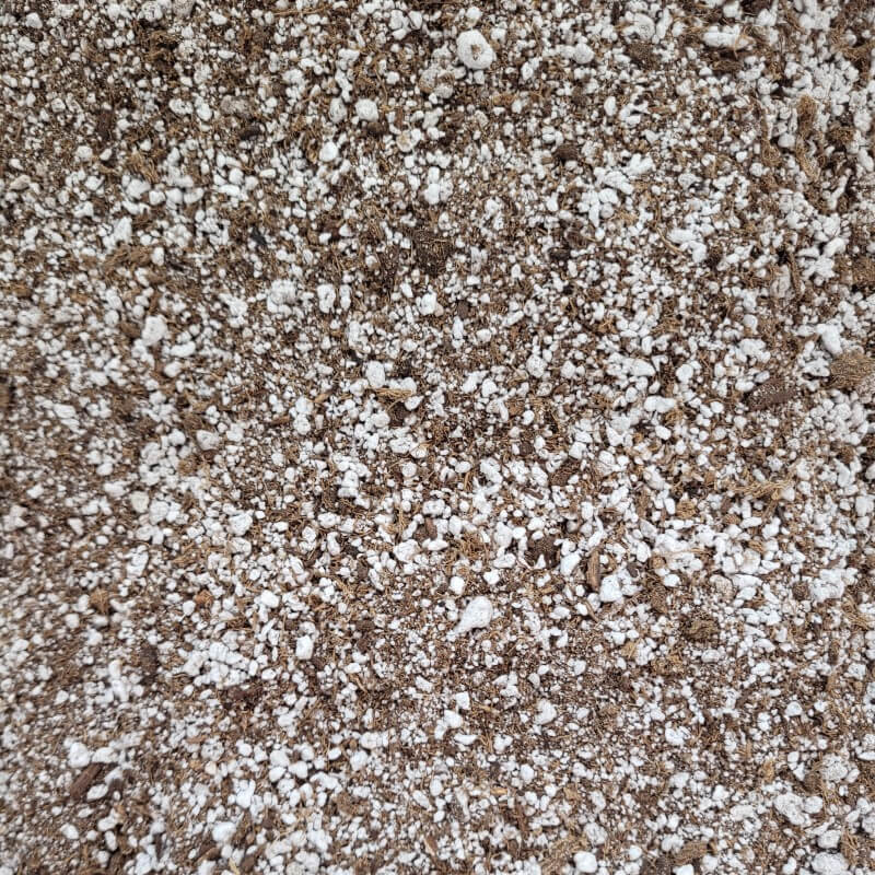 Pinguicula Soil Mix