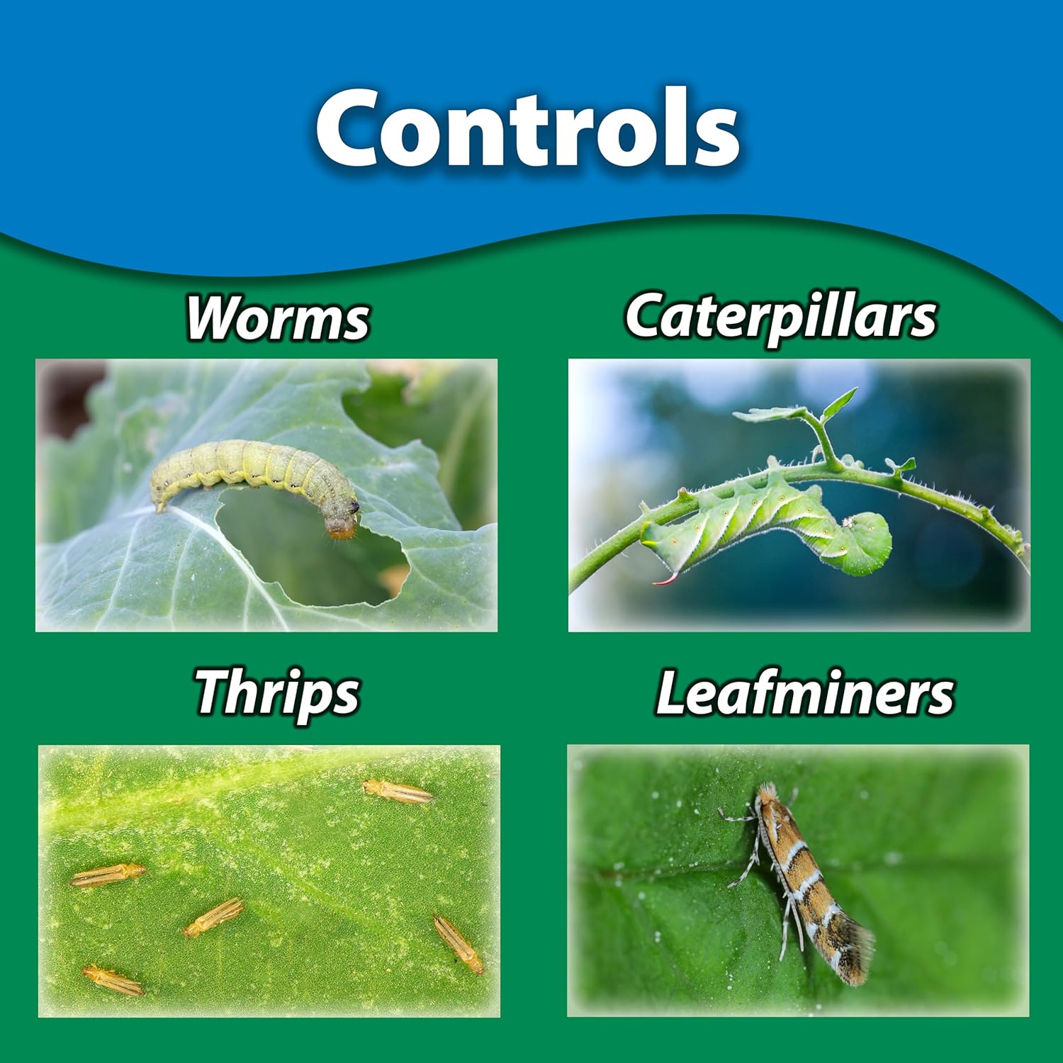 Spinosad Organic Insecticide (Great for thrips)